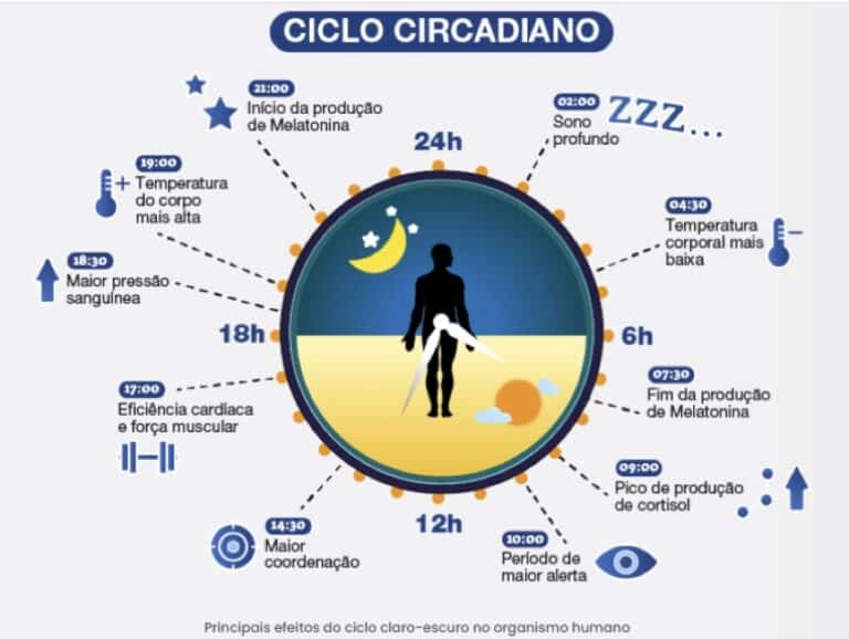 O papel do ciclo circadiano no sono e na homeostase da microbiota ...